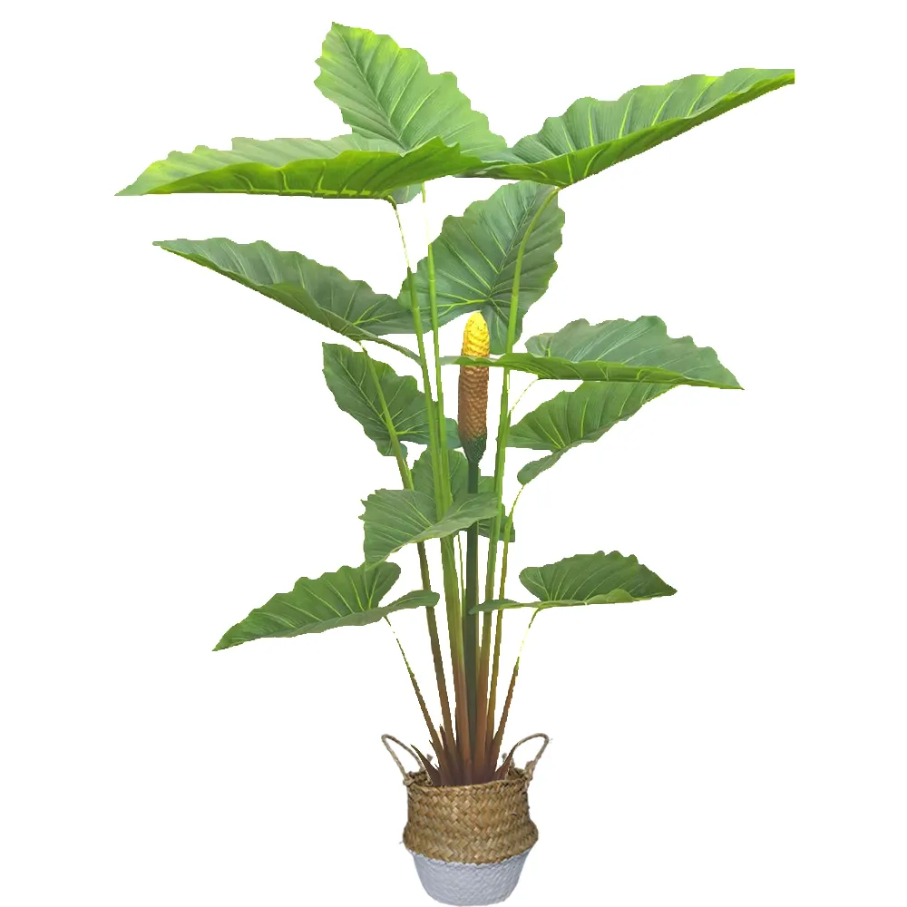 【園藝世界】人造樹-12葉帶果姑婆芋仿真樹(室內擺飾/仿真樹/姑婆芋)