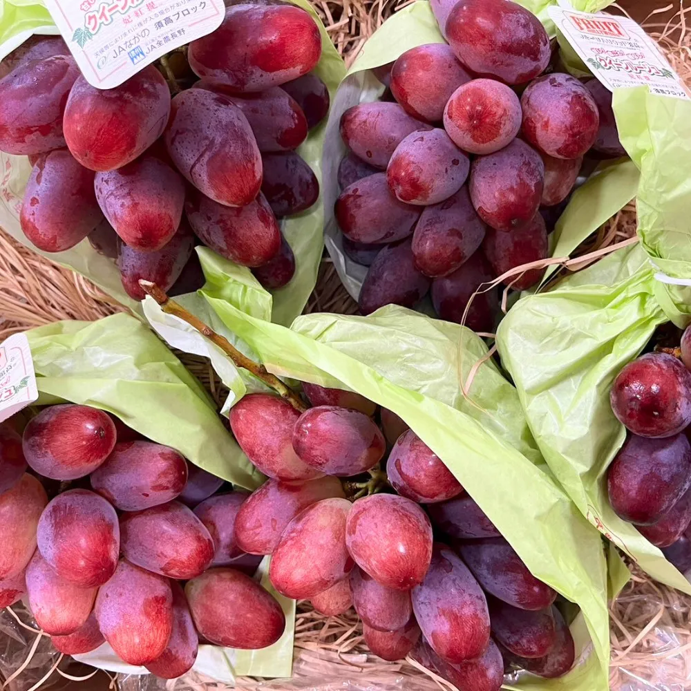 【RealShop】日本長野妃紅提紅葡萄5kg±10%x1箱(共7-9串原裝箱 團購 送禮)