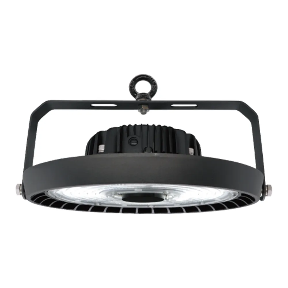 【DanceLight 舞光】1入 LED 100W 宇宙天井燈 天井燈 IP66 D-HBUN100D 4-5米高度 雙節標燈具 全電壓