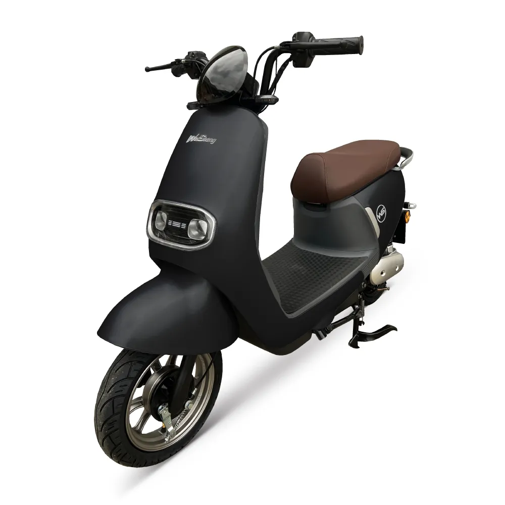 【MiZZO 麥躁】米卡 Mika 小資最愛 微型電動二輪車 TSV66 20AH鋰電池(威勝/免駕照/合法上路/小資首選)