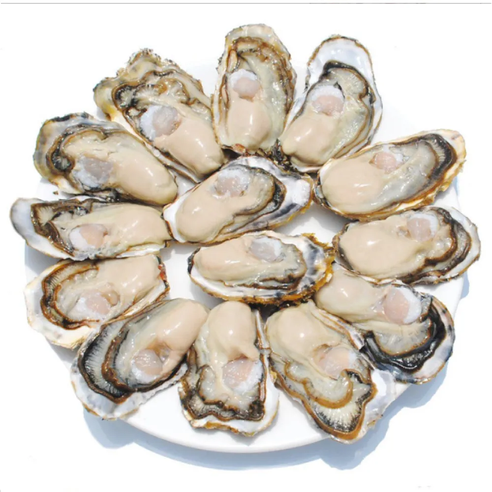 【一手鮮貨】日本室津原裝生食級牡蠣_2L(10顆組/2L生食級/一年生/生蠔)