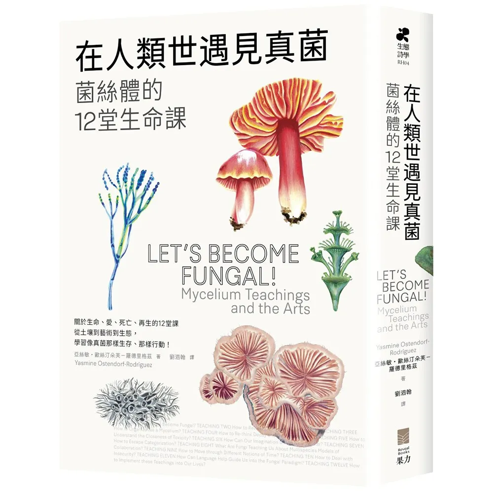 在人類世遇見真菌：菌絲體的12堂生命課
