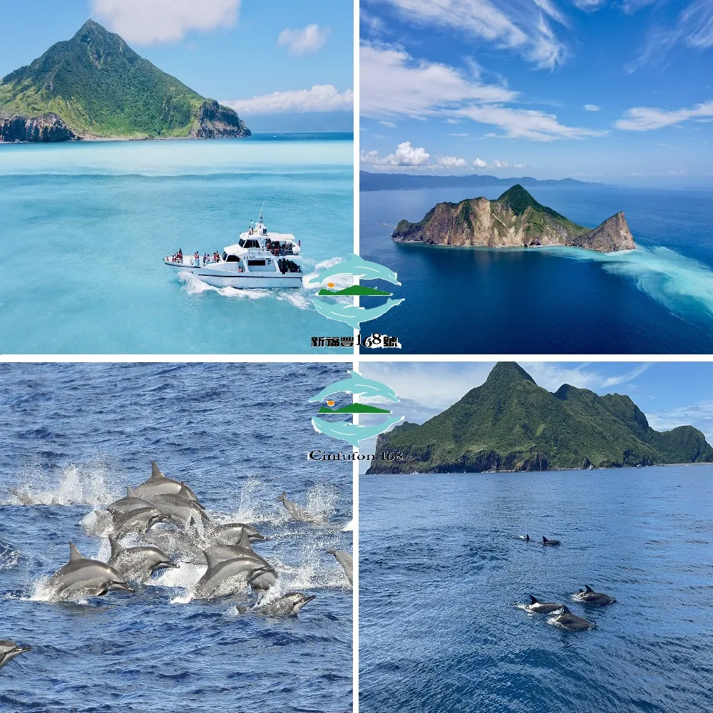 宜蘭新福豐168賞鯨旅遊｜兒童票★賞鯨＋繞龜山島（附導覽解說）