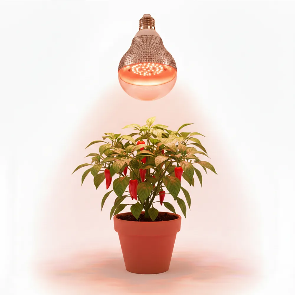 【JIUNPEY 君沛】15W 加強型光譜E27植物燈泡(植物生長燈)