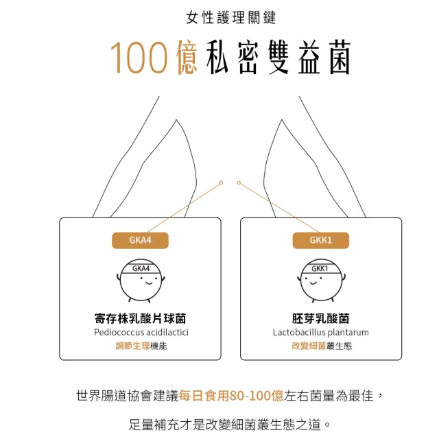 【HH 草本新淨界】蔓越莓益菌青春膠囊60粒/瓶 X3(私密蔓越莓 蔓越莓膠囊 蔓越莓錠)