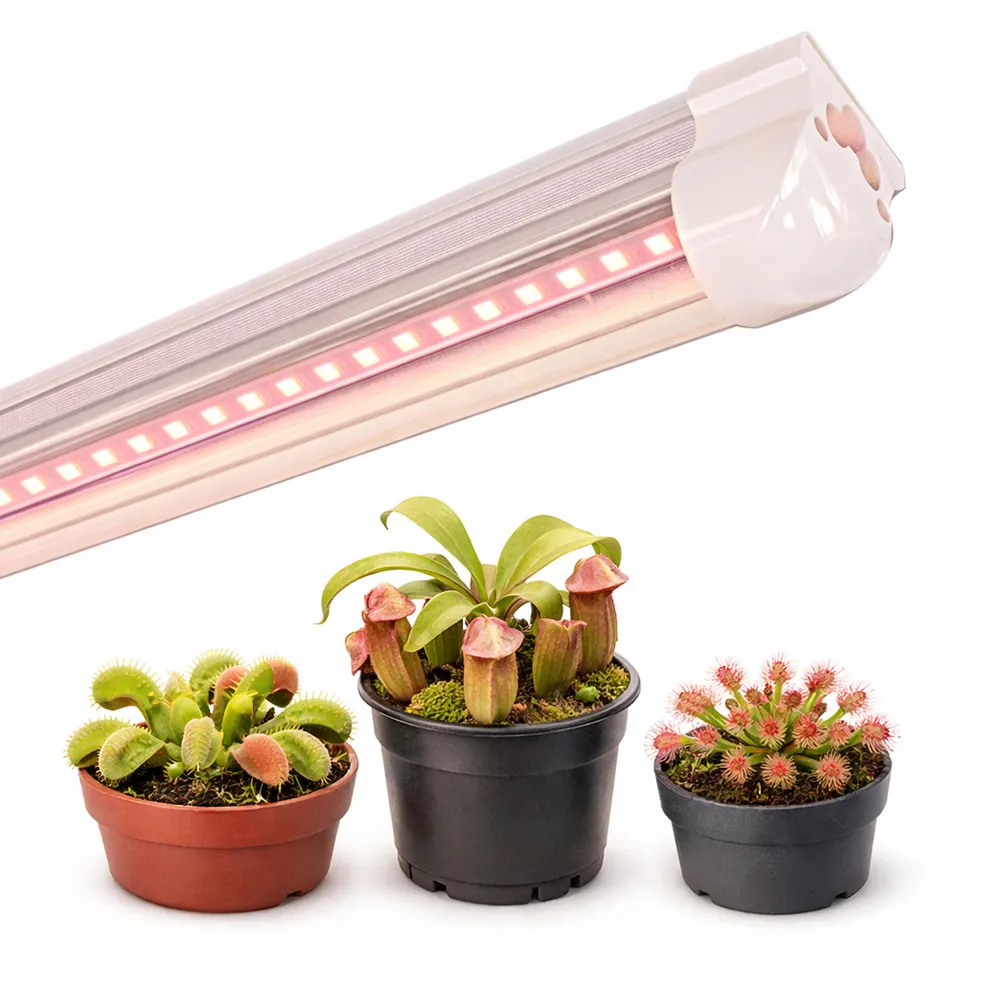 【JIUNPEY 君沛】2入組 T8  2呎12.5W加強型光譜植物燈管(植物生長燈)