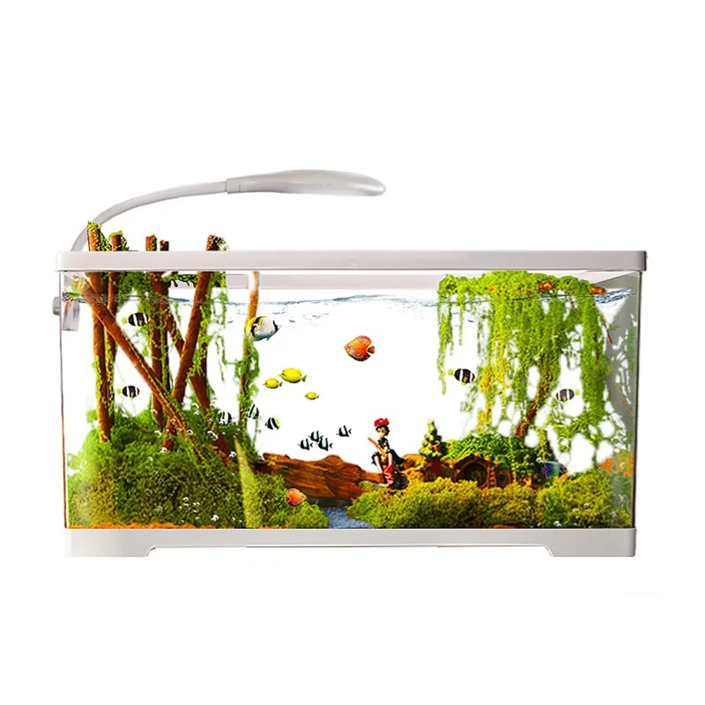 【極樂鳥寵物用品旗艦店】亞克力小型魚缸 防撞防耐摔 免換水桌面魚缸 預售12工作天(長60*寬30*高29)