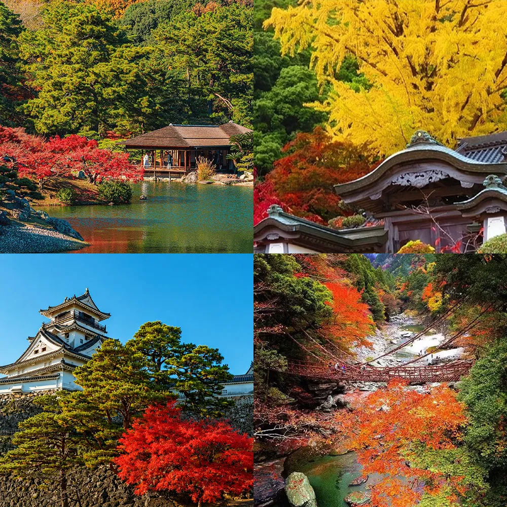 【PlayEZ 美好假期】四國楓彩物語.大步危遊船葛藤橋.金刀比羅宮溫泉4日