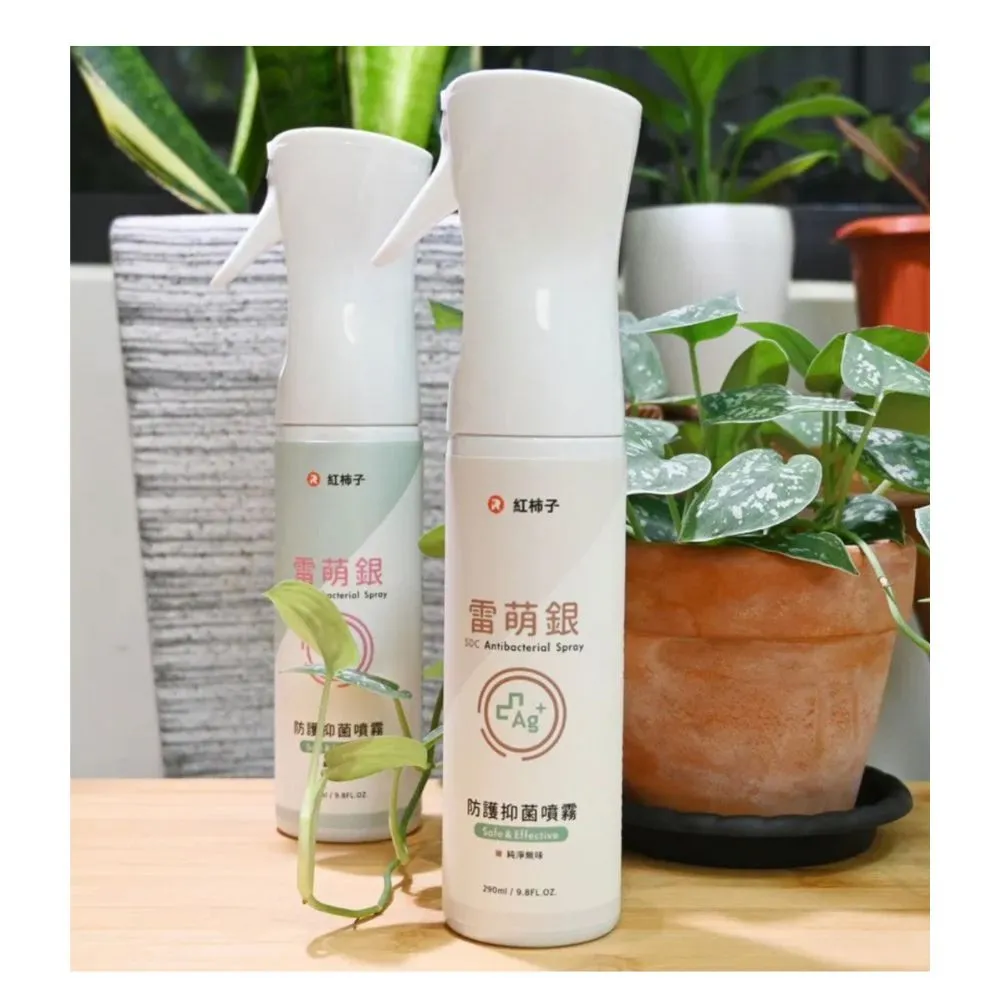紅柿子 雷萌銀防護抑菌噴霧290ml 新冠防疫 荷蘭進口霧化瓶(比酒精更好抗菌效果  美國官方EPA認證)