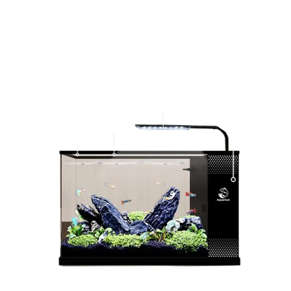 【星治】小型客廳魚缸 亞克力生態魚缸 側濾生態魚缸 智能循環魚缸 預售十二工作天(經典套餐 30*15*20)