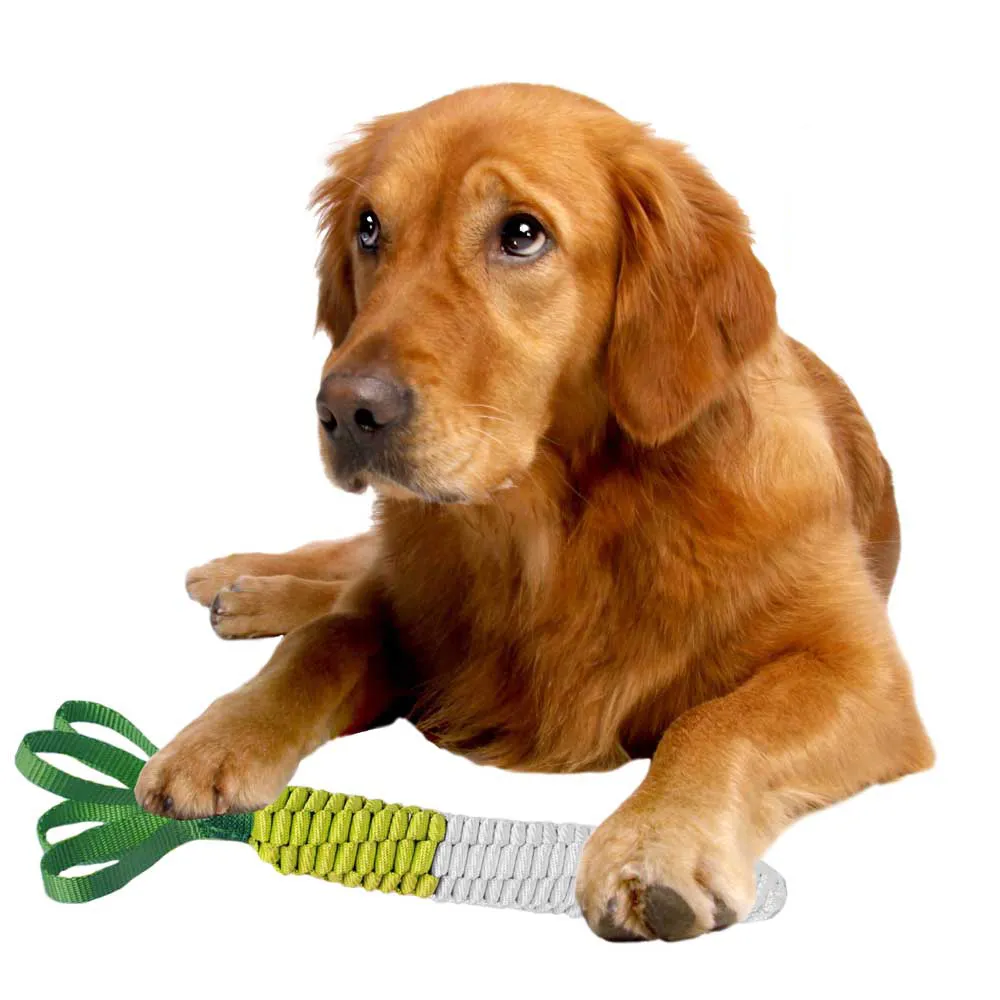 【DOCKY PET+】Bestever 繩結寵物啃咬玩具 XL(可愛造型寵物玩具有兩種聲響適合拍照裝飾)
