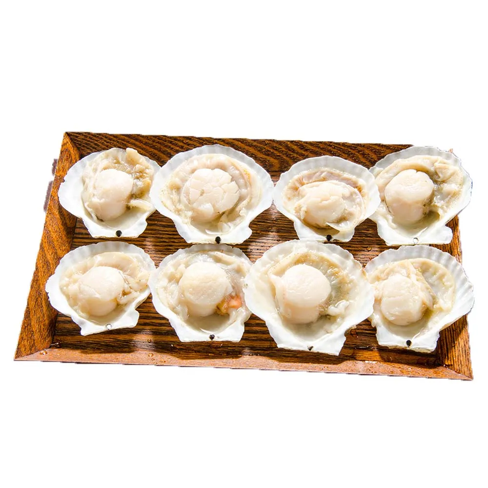 【鮮綠生活】鮮美大扇貝 共8包(300g±10%/包 約7-10顆/包;)